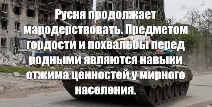 Руснявый хвастается перед своей самкой, как он научился виртуозно мародерствовать