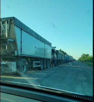 Тем временем орки продолжают воровать украинское зерно